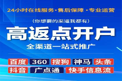 百度移动端应用推广策略探讨
